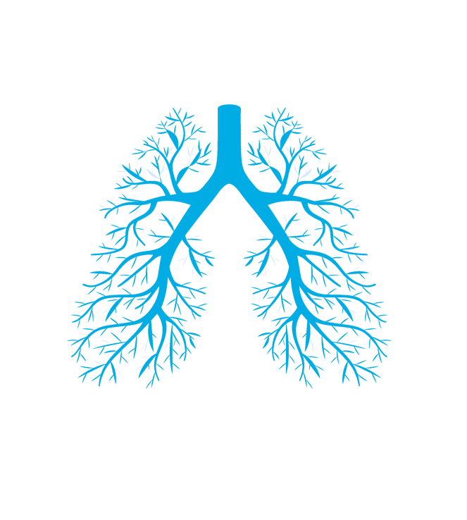 Lunegrafik for Astma